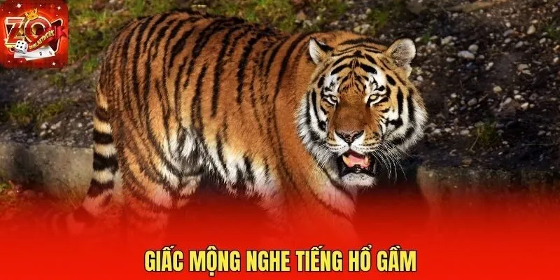 Giấc mộng nghe tiếng hổ gầm